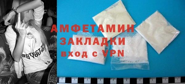 mdpv Бородино