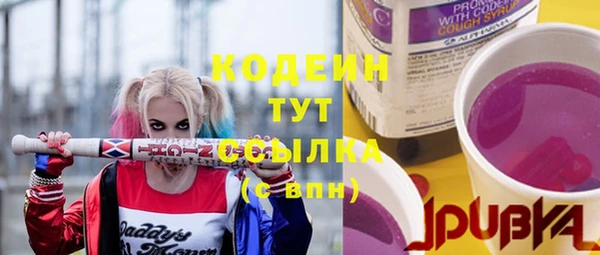 mdpv Бородино
