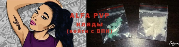 mdpv Бородино