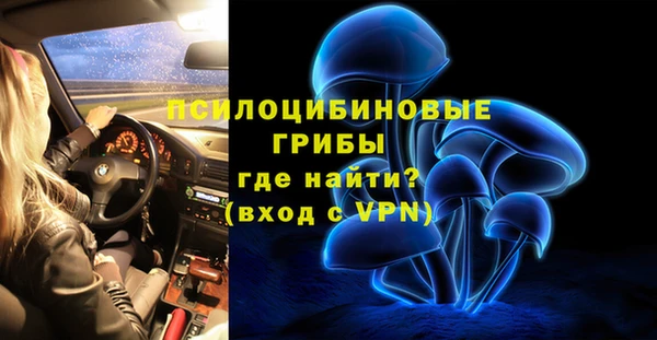 mdpv Бородино