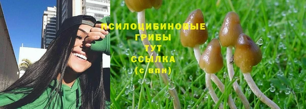 mdpv Бородино